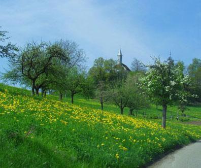 Landgasthof Hirschen Albbruck Екстер'єр фото